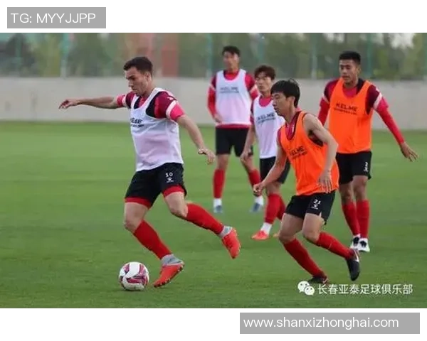 武汉网球队防反战术解析与实战应用深度分析 武汉网球队防反战术解析与实战应用深度分析