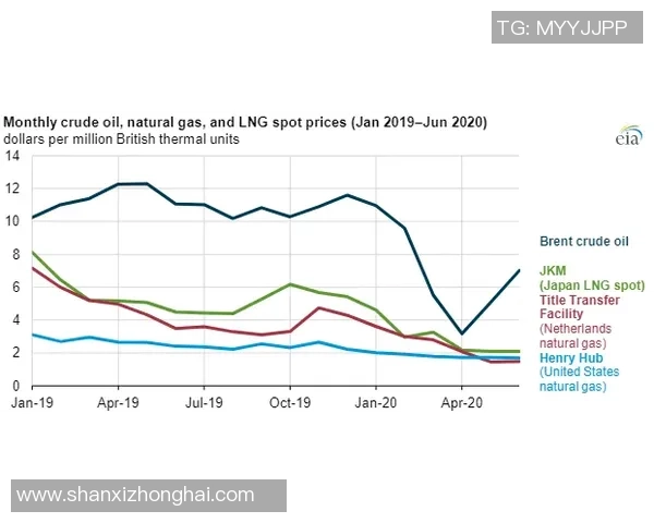 独家解析LNG灵活性优势与市场动态的深度对比分析 独家解析LNG灵活性优势与市场动态的深度对比分析